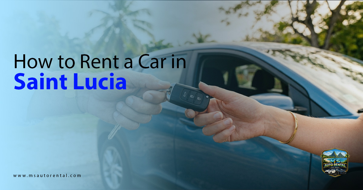 How to Rent a Car in Saint Lucia